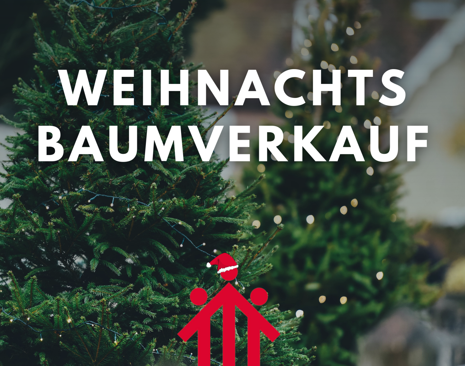 Spannende Höffner Weihnachtsbaumverkauf 2022 Fotos